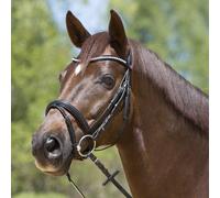 Riding Bridle + Noseband Kieffer Lea