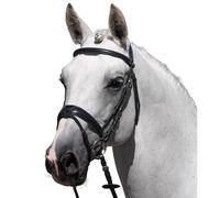 Riding bridle Premier Equine Artana