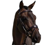 Riding bridle Premier Equine Artana