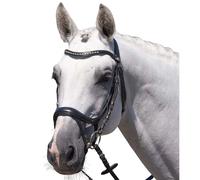 Riding bridle Premier Equine Palazzo