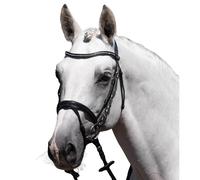 Riding bridle Premier Equine Rivere