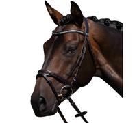 Riding bridle Premier Equine Rivere