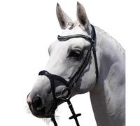 Riding bridle Premier Equine San Paolo