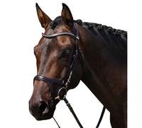 Riding bridle Premier Equine San Paolo