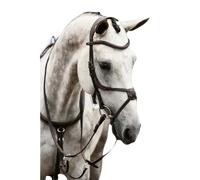 Riding bridle PS of Sweden Athens