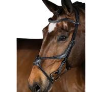 Riding bridle PS of Sweden Athens