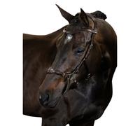 Riding bridle PS of Sweden Hackamore