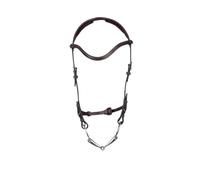 Riding bridle PS of Sweden Helsinki