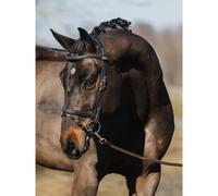 Riding bridle PS of Sweden Stockholm