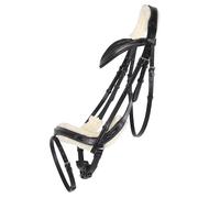 Riding bridle QHP Ontario