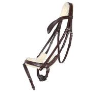 Riding bridle QHP Ontario