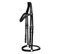 Riding bridle Waldhausen Island Ice