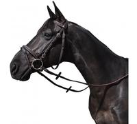 Riding bridles Flags&Cup Wellington