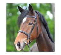 Riding bridles Kavalkade Akila Hunter