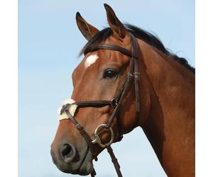 Riding bridles, raised, padded, shape 8 Weatherbeeta Collegiate Syntovi