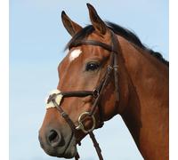 Riding bridles, raised, padded, shape 8 Weatherbeeta Collegiate Syntovi