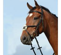 Riding bridles, raised, padded, shape 8 Weatherbeeta Collegiate Syntovia+