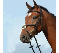 Riding bridles, raised, padded, shape 8 Weatherbeeta Collegiate Syntovi