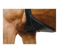 Riding girth Norton Magnet