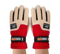 Riding Gloves, Polar Motorcycle Fleece Bike Mittens | 10Cm Touchscreen With Fingertips Waterproof Ski Equipment | 60g Stay Protected In Rain And Snow During Winter Commuting.