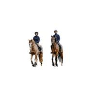 Riding jacket woman Pro Series Amalfi