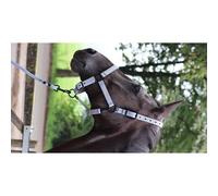 Riding lanyard Lami-Cell Midnight