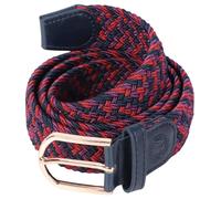 Riding Polo Harry's Horse Liciano