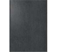 rido/idé Book Calendar Model Mentor (2025), 1 Page = 1 Day, A5, 352 Pages, Miradur Cover, Black