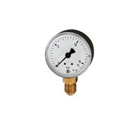 RIEGLER 101773-100 Standard Pressure Gauge, Sheet Steel, G 1/4 Bottom, -1/0.0 Bar, Diameter 50, Pack of 1