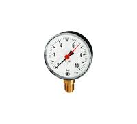 RIEGLER 101980-150/3 Standard Pressure Gauge, Plastic Casing, G 1/2 Bottom, 0-160.0 Bar, Diameter 100, Pack of 1