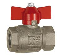 RIEGLER 103114-329.45-R Ball Valve Basic Design, Wing Handle, IG/IG, MS Vern, G 3/4, Pack of 1