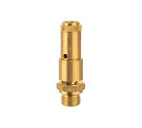RIEGLER 104424-227.44-2.6 Safety Valve DN 10 Brass G 3/8 Response Pressure 2.6 Bar Pack of 1