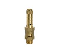 RIEGLER 105045-229.06-0.4 Safety Valve Brass G 2 Contact Pressure 0.4 Bar Pack of 1