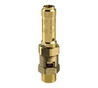 RIEGLER 105046-229.06-0.5 Safety Valve Brass G 2 Contact Pressure 0.5 Bar Pack of 1