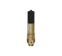 RIEGLER 105220-1144.03-1.5 High-Performance Safety Valve, MS, G 1, Response Pressure 1.5 bar, 1 Piece