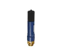 RIEGLER 105388-1145.03-2.5 High Performance Safety Valve, MS, G 2, 2.5 Bar Response Pressure, Pack of 1