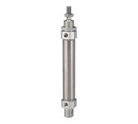RIEGLER 114842-11.DM.20060 Round Cylinder "MI" Double-Acting Piston Diameter 20, Stroke 60, G 1/8, Pack of 1