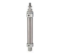 RIEGLER 114871-11.DM.25160 Round Cylinder "MI" Double-Acting Piston Diameter 25, Stroke 160, G 1/8, Pack of 1