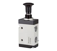 RIEGLER 115980-514.4004 5/2-Way Valve Push Button Actuation, 3L, G 1/4, 1300 l/min, Pack of 1