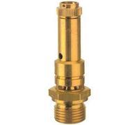 RIEGLER 117670-226.01-8.2 Safety Valve DN 8 Brass G 1/4 Response Pressure 8.2 Bar Pack of 1