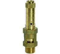 RIEGLER 117721-229.02-2.8 Safety Valve, Brass, G 3/4, Contact Pressure 2.8 Bar, Pack of 1