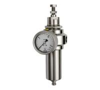 RIEGLER 133542-580FRM1-38-17 Stainless Steel Filter Regulator, 1.4401, BG 1, G 3/8, 1.7-17.5 Bar, Pack of 1