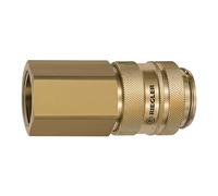 RIEGLER 141564-419.04 NW 19 Quick Release Fitting Bare Brass G 3/4 IG