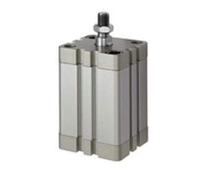 RIEGLER 15.DMA.80040 ACE Series Compact Cylinder Double Action with Magnet, 80 mm Piston, 40 mm Stroke, G 1/8 Inch Connection, M16 x 1.25 Piston Rods