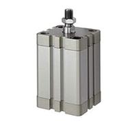 RIEGLER 15.DMA.80225 ACE Series Compact Cylinder Double Action with Magnet, 80 mm Piston, 225 mm Stroke, G 1/8 Inch Connection, M16 x 1.25 Piston Rods