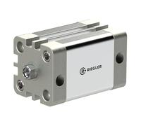 RIEGLER 15.DMI.100070 ACE Series Compact Cylinder Double Acting Internal Thread Magnet 100 mm Piston 70 mm Stroke G 1/8 Inch Connection M12 x 1.75 Piston Rods