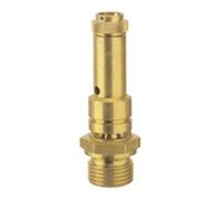 RIEGLER 226.01-46.0 Safety Valve DN 8 Brass G 1/4 Response 5.9 Bar
