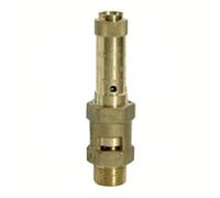 RIEGLER 229.01-2.1 Safety Valve Brass G 1/2 Response 2.7 Bar