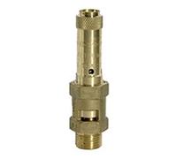 RIEGLER 229.05-0.7 brass safety valve, G 1-1/2 inch connection, 0.7 bar response pressure.