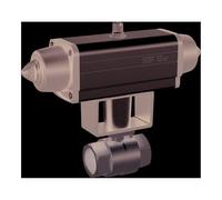RIEGLER 351.521-1 Stainless Steel Ball Valve Pneumatic Actuator According to NAMUR Single Action Rp 1